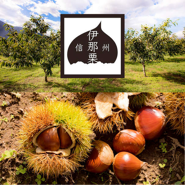信州伊那栗