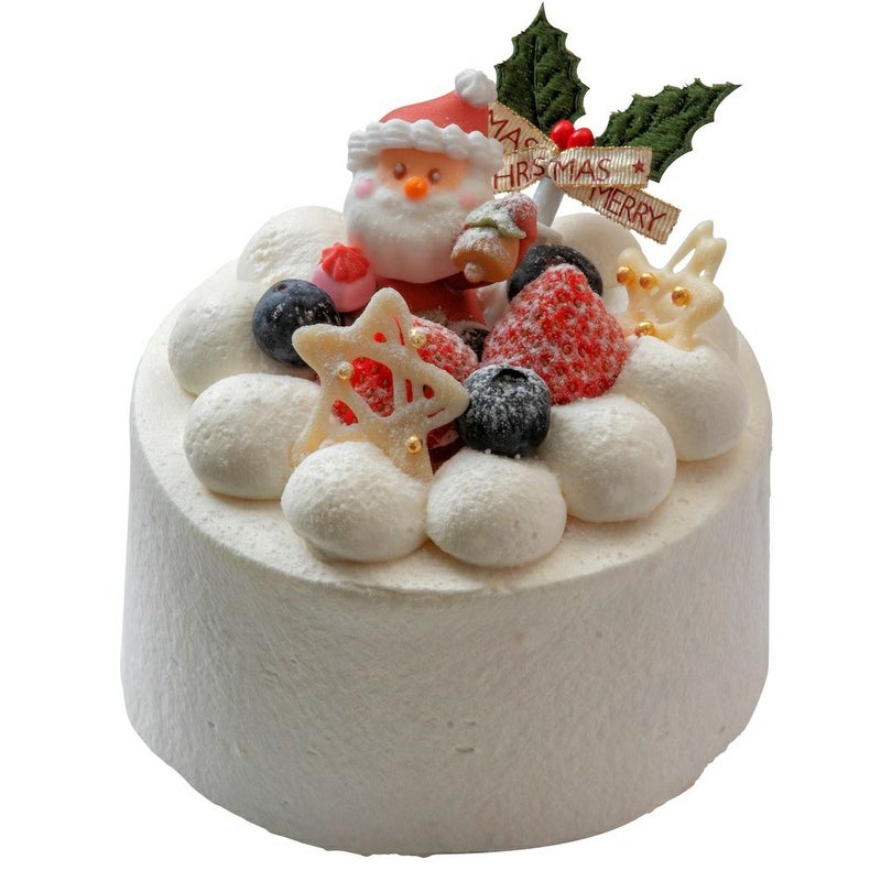 （10）クリスマスデコレーション 3号